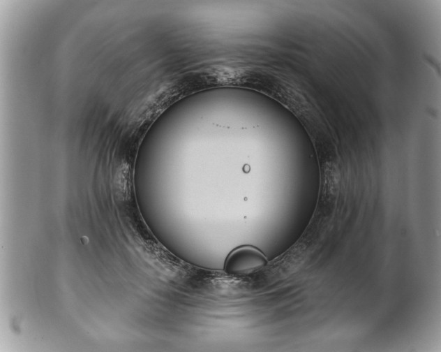 X0000102030650200807251352