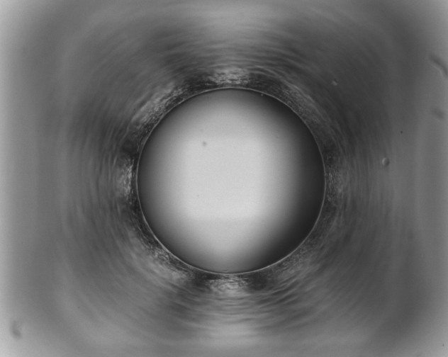 X0000102030652200807251352