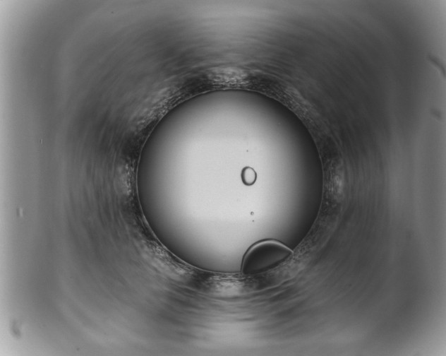 X0000102030658200807251352