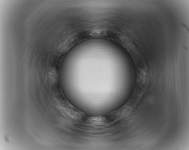 X0000102030659200807251352