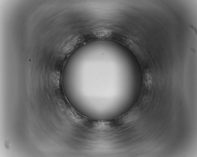 X0000102030664200807251352