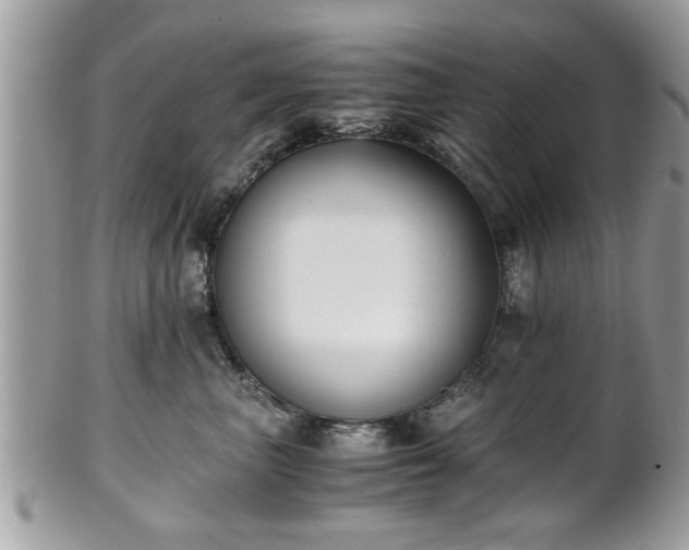 X0000102030667200807251352