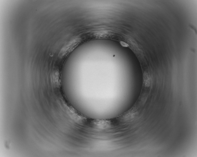 X0000102030670200807251352