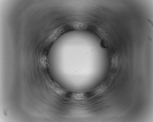 X0000102030671200807251352