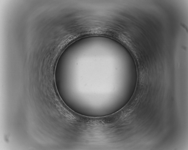 X0000102030673200807251352