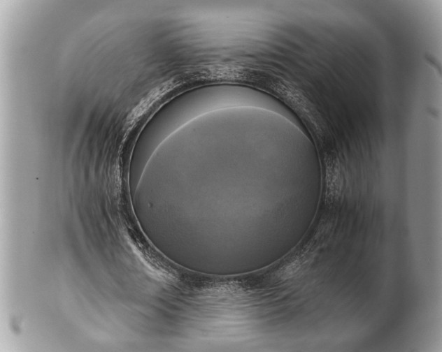 X0000102030674200807251352