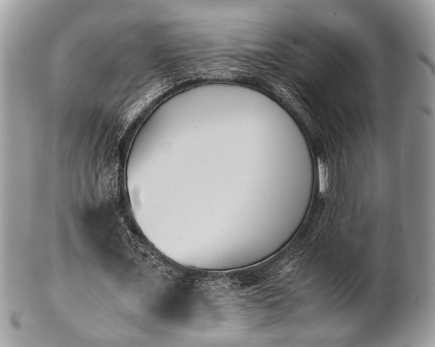 X0000102030675200807251352