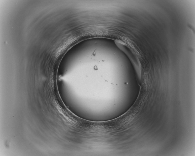 X0000102030677200807251352