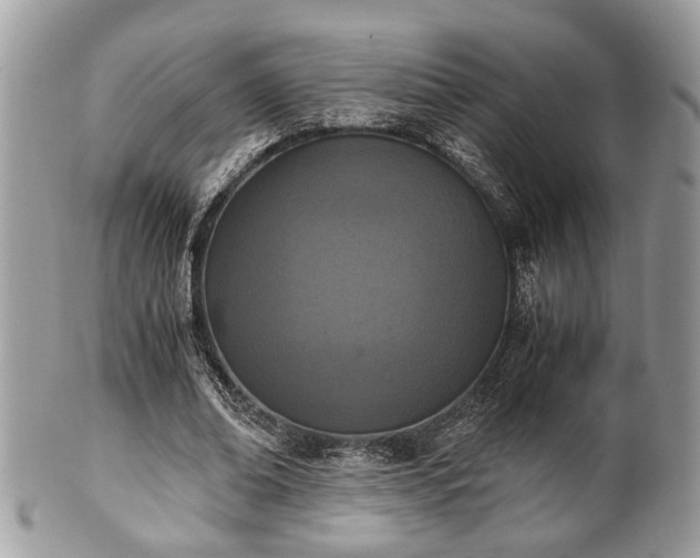 X0000102030678200807251352