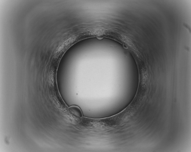 X0000102030681200807251351