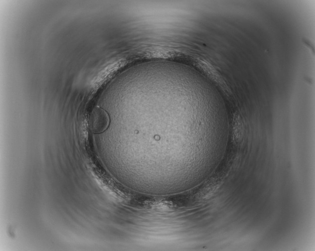 X0000102030683200807251351