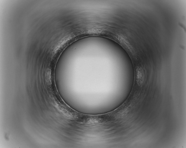 X0000102030684200807251351