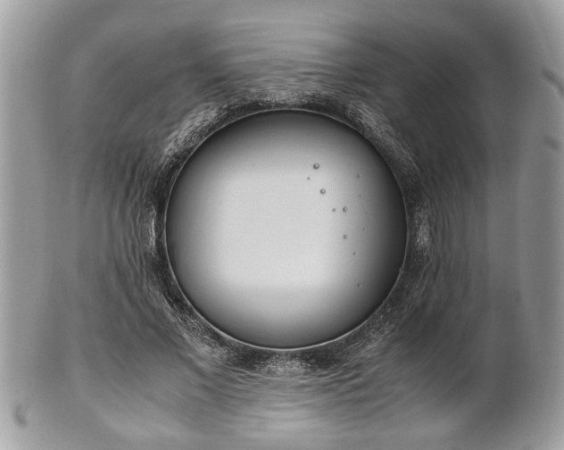 X0000102030685200807251351