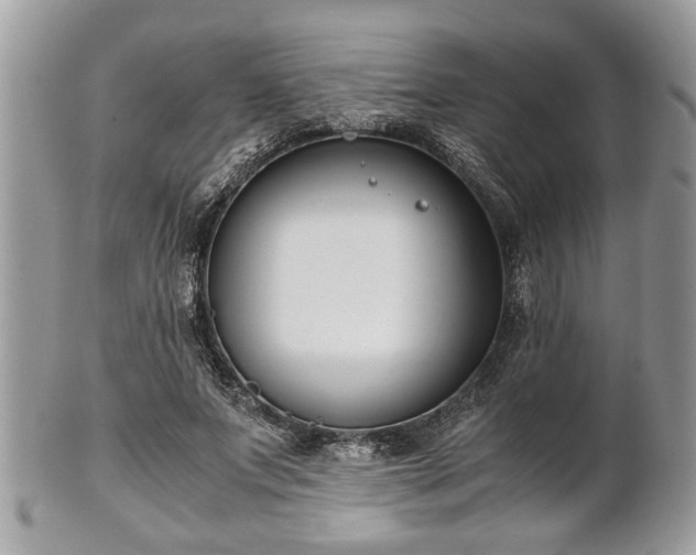 X0000102030687200807251351