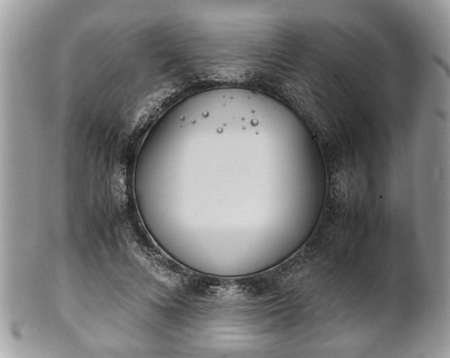 X0000102030688200807251351