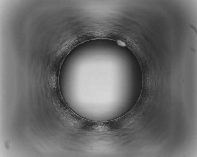 X0000102030689200807251351