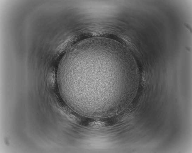 X0000102030691200807251351