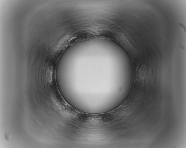 X0000102030694200807251351