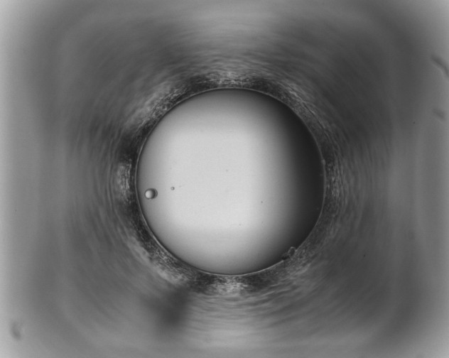 X0000102030695200807251351