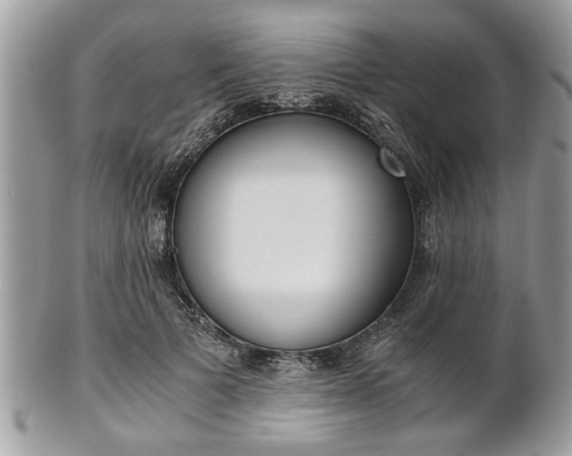 X0000102030697200807251351