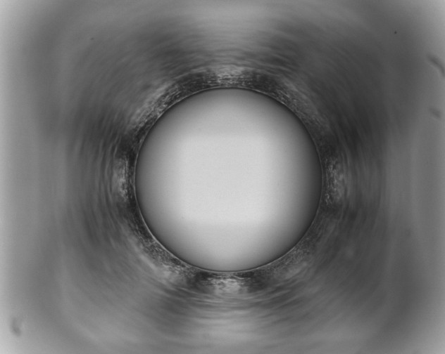 X0000102030698200807251351