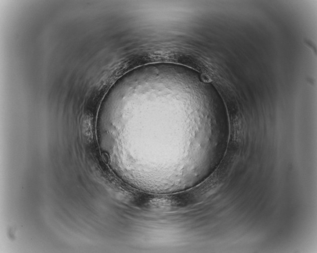 X0000102030699200807251351