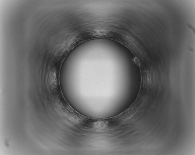 X0000102030700200807251351