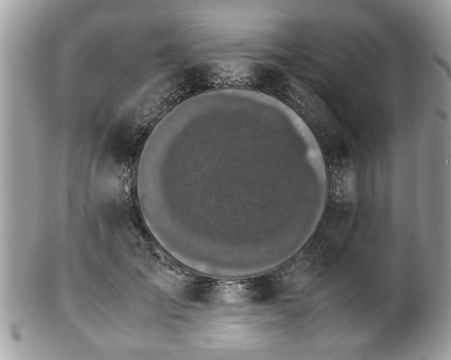 X0000102030701200807251351