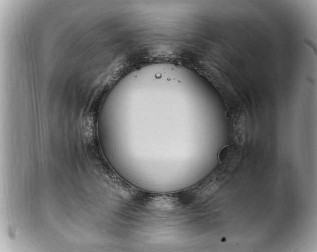 X0000102030708200807251351