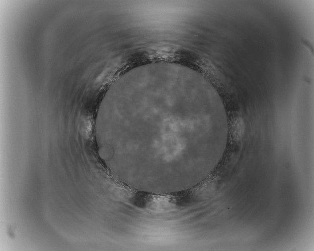 X0000102030709200807251351