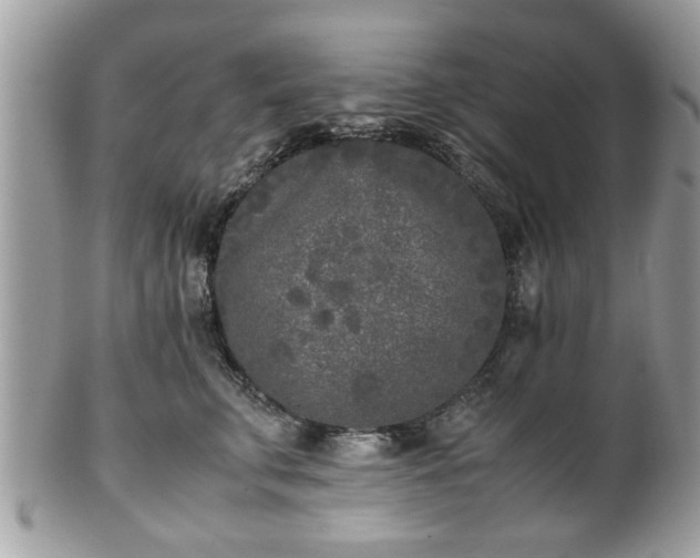 X0000102030711200807251351