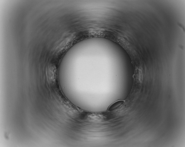 X0000102030712200807251351