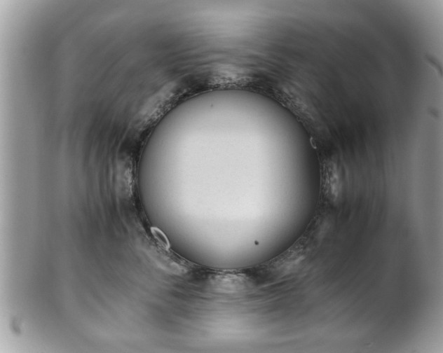 X0000102030716200807251351