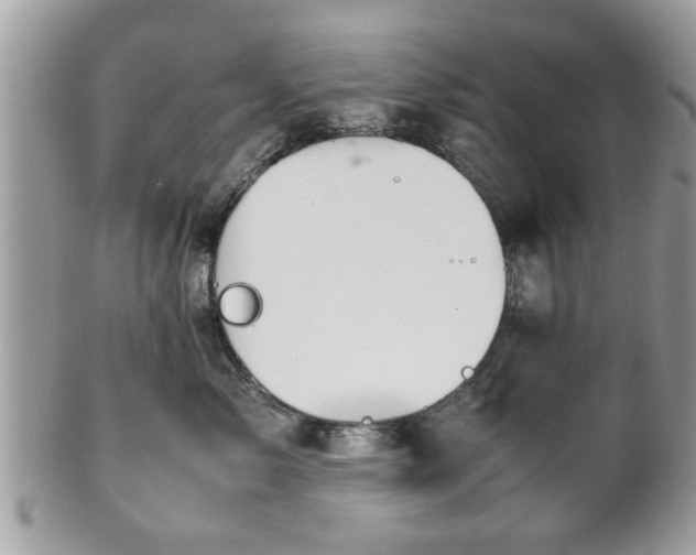 X0000102030717200807251351