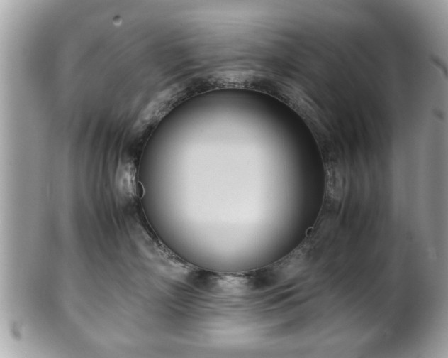 X0000102030718200807251351