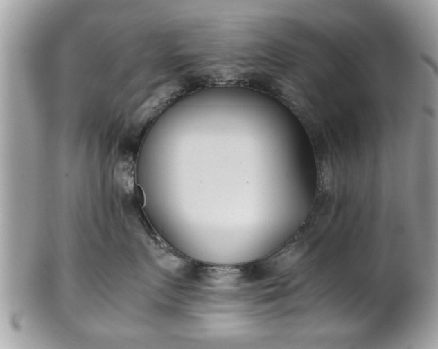 X0000102030719200807251351