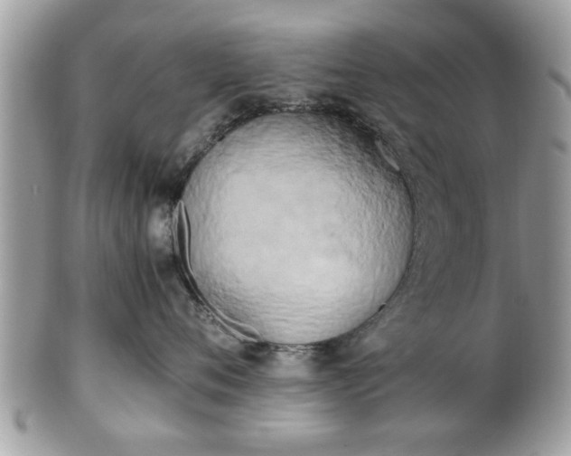 X0000102030720200807251351