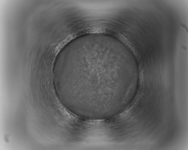 X0000102030721200807251350