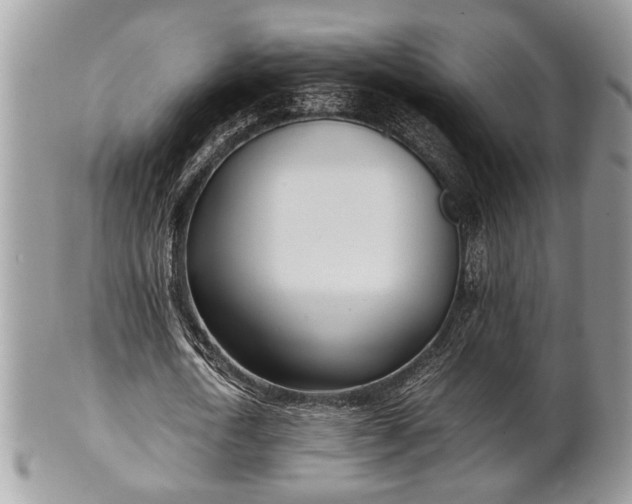 X0000102030722200807251350