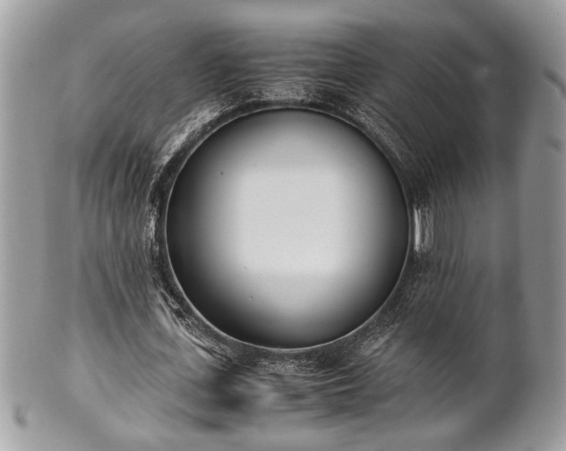 X0000102030723200807251350