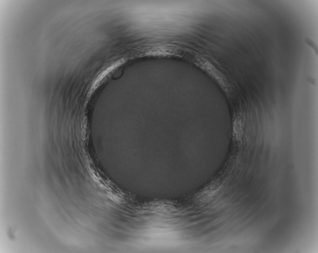 X0000102030724200807251350