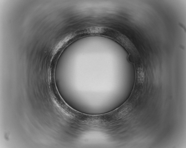 X0000102030726200807251350