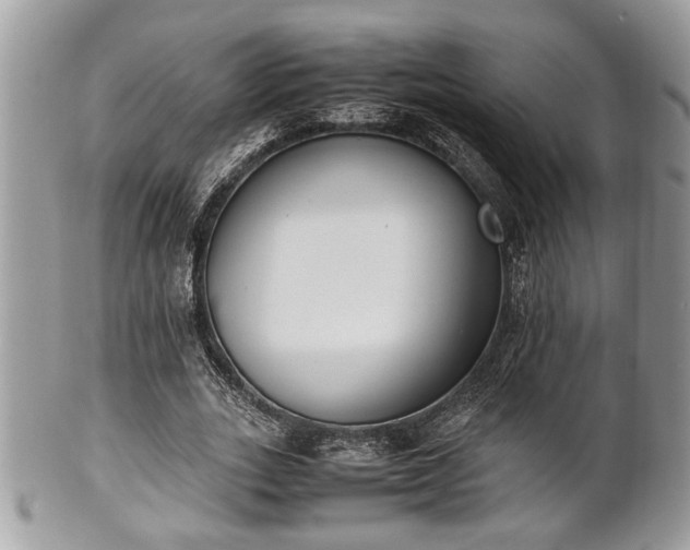 X0000102030727200807251350