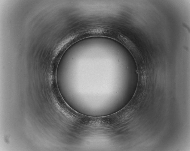 X0000102030728200807251350