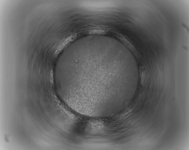 X0000102030729200807251350