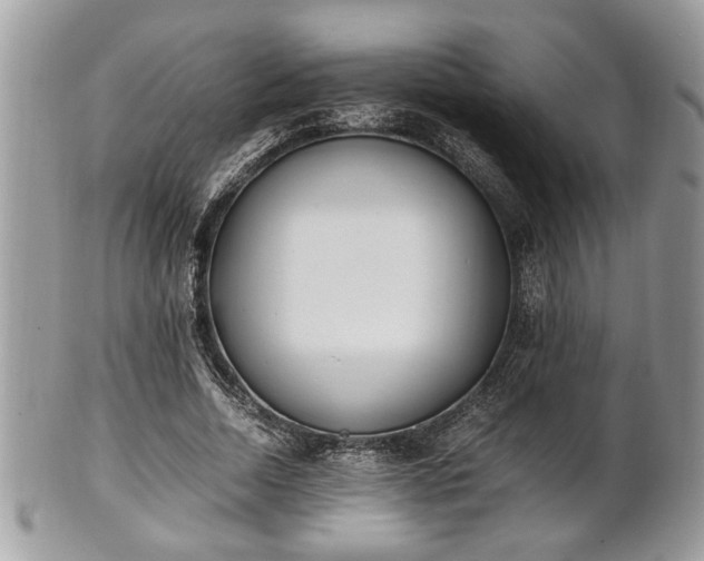 X0000102030730200807251350