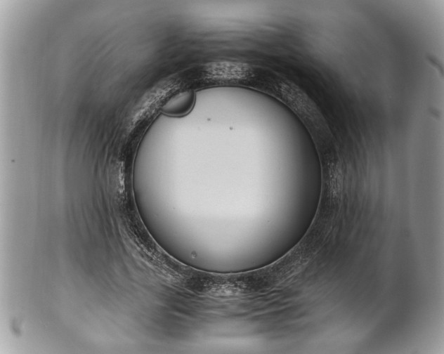 X0000102030731200807251350