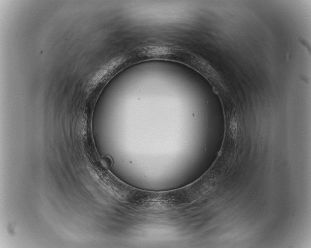 X0000102030732200807251350