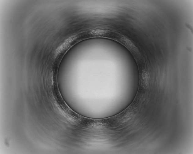 X0000102030734200807251350