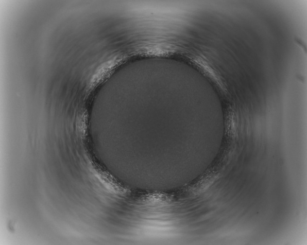 X0000102030736200807251350